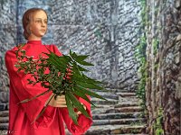 zyklos3 (8) : Jahreskrippe, Palmsonntag